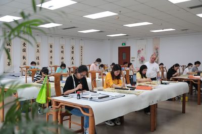 687門課程等你來選！深圳公益文化藝術培訓“總分校”正式起航